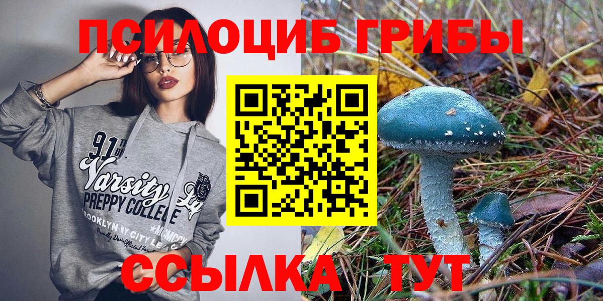 наркотики  Псилоцибиновые грибы Psilocybine cubensis  Галлюциногенные грибы Psilocybine cubensis  Вход с VPN  Лениногорск 