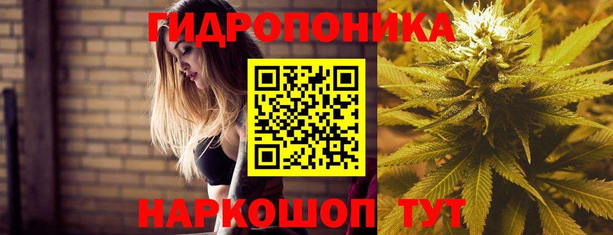 Лениногорск  Каннабис план  Марихуана VHQ  Бошки марихуана планчик  Вход с VPN 